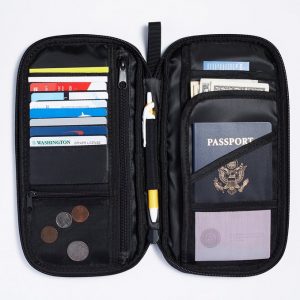 AmazonBasics RFID Travel Organizer
